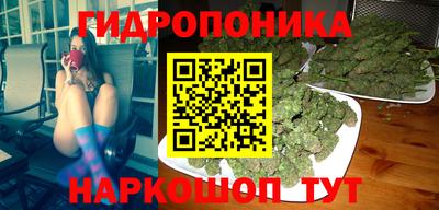 дживик Гай