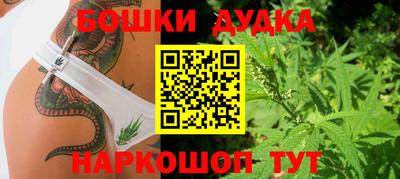 дживик Гай