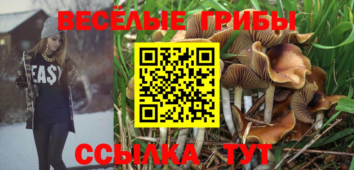 Мирный  цена наркотик  Вход с VPN  Галлюциногенные грибы Magic Shrooms 